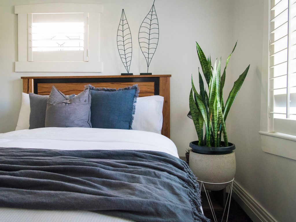 گیاه آپارتمانی مناسب اتاق خواب