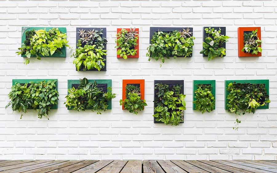 گلدان دیوار سبز - آموزش ساخت دیوار سبز در خانه