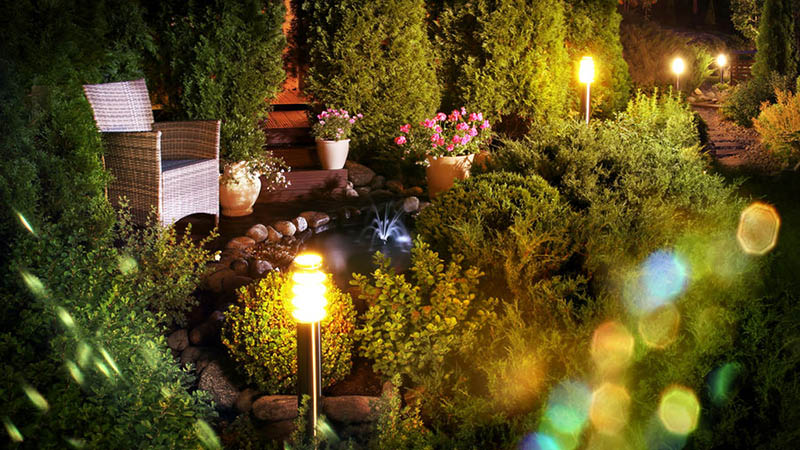  از تابش مستقیم نور مصنوعی روی گیاهان خودداری کنید. این کار باعث کاهش عمر گیاه می شود