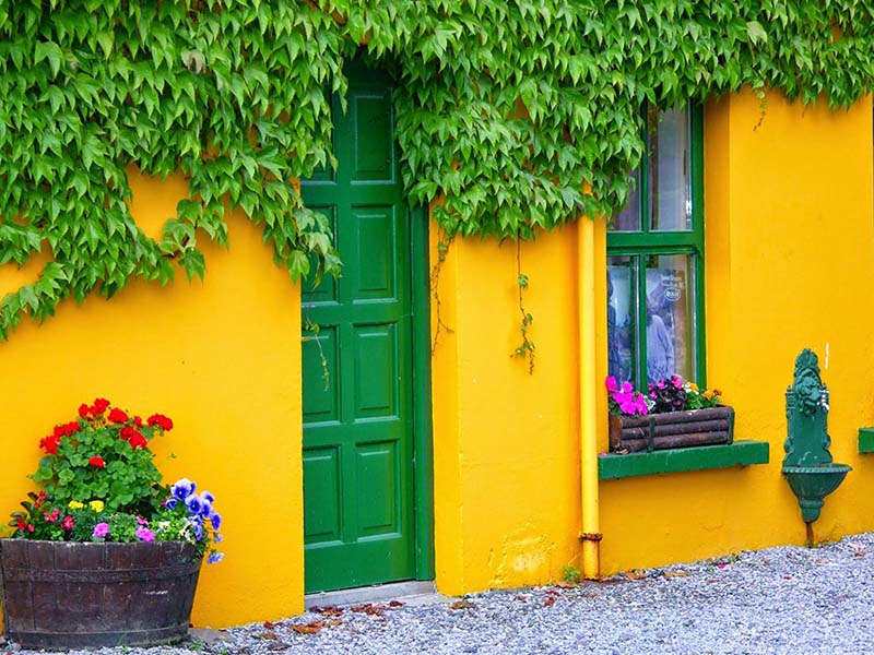 مردم مکزیک علاقه زیادی به رنگهای شاد برای دربهای خود دارند.