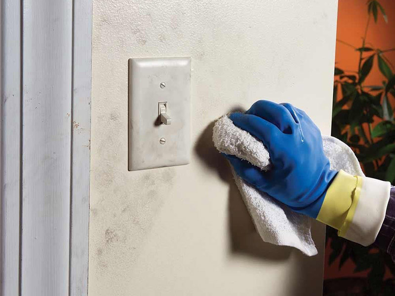 برای تمیز کردن لکه از روی دیوار رنگ روغنی می‌توان از یک دستمال مرطوب آغشته به ماده شوینده استفاده کنید.