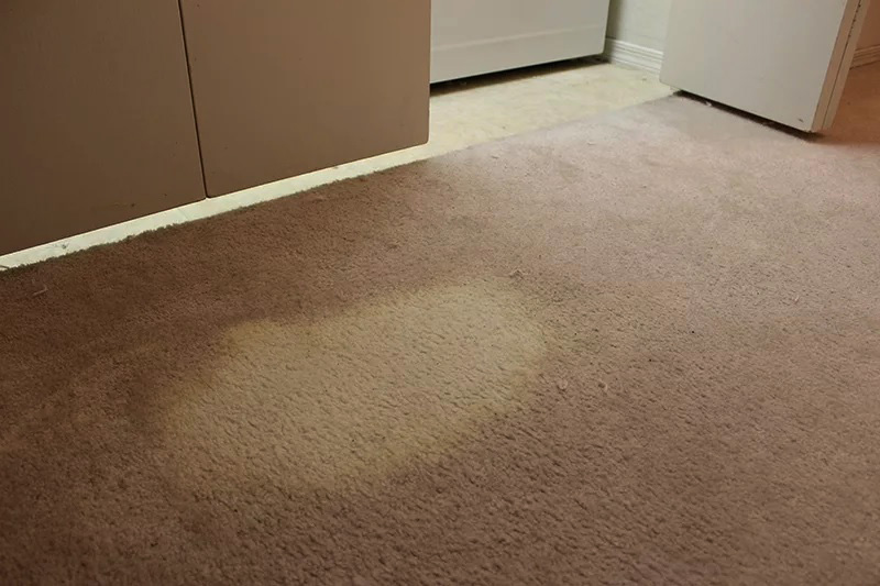 اگر از وایتکس برای تمیز کردن فرش درست استفاده نکنید موجب از بین بردن رنگ فرش می‌شود.