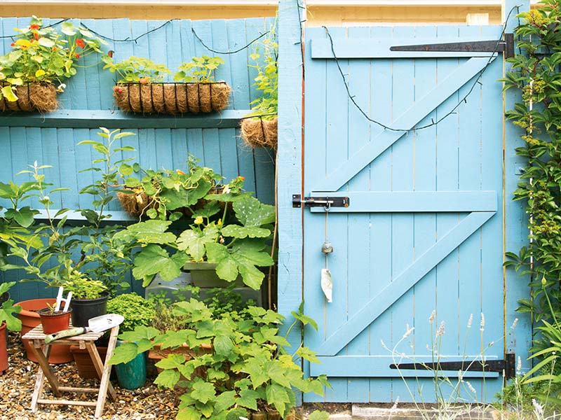 یک حیاط کوچک با درب ورودی چوبی به رنگ آبی روشن