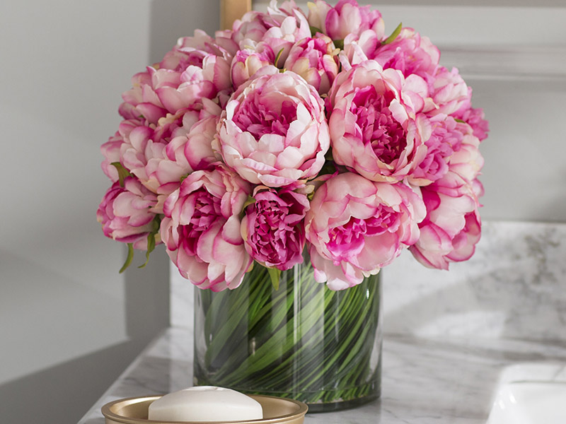 گل صد تومانی در فنگ شویی گل برای حضور عشق و محبت در خانه مورد استفاده قرار می‌گیرد.