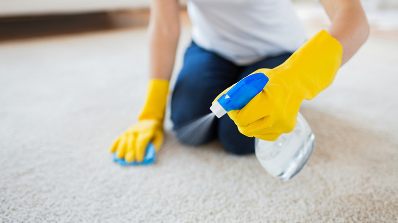 برای تمیز کردن فرش می‌توانید از شامپو فرش استفاده کنید.