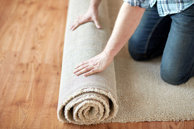 فرش و قالیچه، به خصوص انواع سنگین‌تر آن، می‌تواند به عنوان عایق صدا درب ساختمان عمل کند و از شدت اکوی صدا بکاهد.