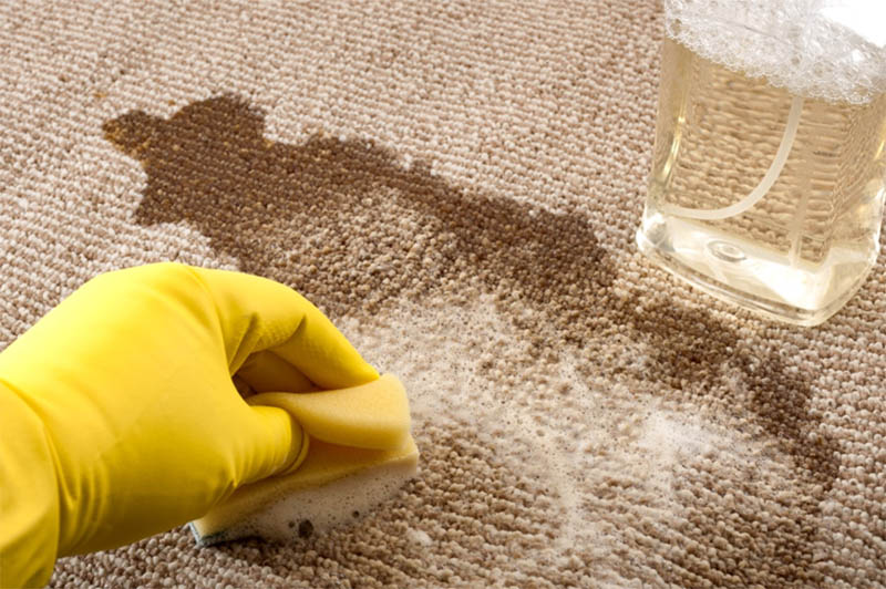 برای پاک کردن لکه روغن از روی فرش از الکل و مایع ظرفشویی استفاده کنید.