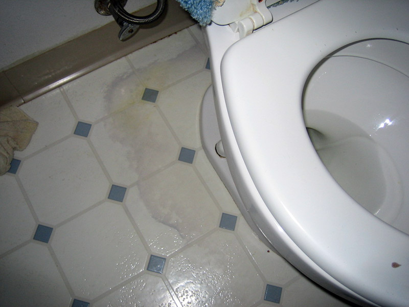 زمانی که توالت شما آب می‌دهد و چکه می‌کند، احتمالاً نیاز دارید تا اقدام به تعمیر فلوتر توالت فرنگی کنید.