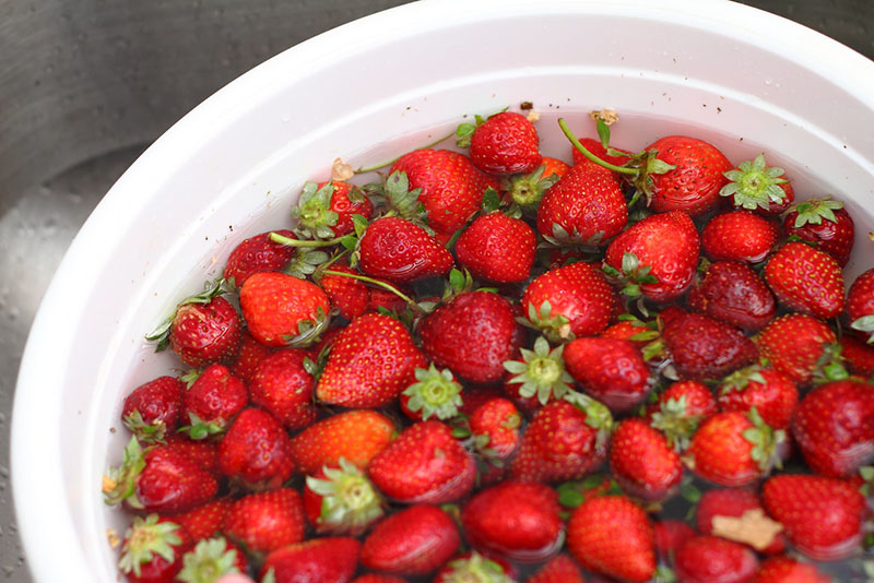 بهترین روش تمیز کردن و شستن توت فرنگی | بهترین روش ضدعفونی کردن میوه ها در برابر کرونا | محلول ضدعفونی کننده میوه و سبزی