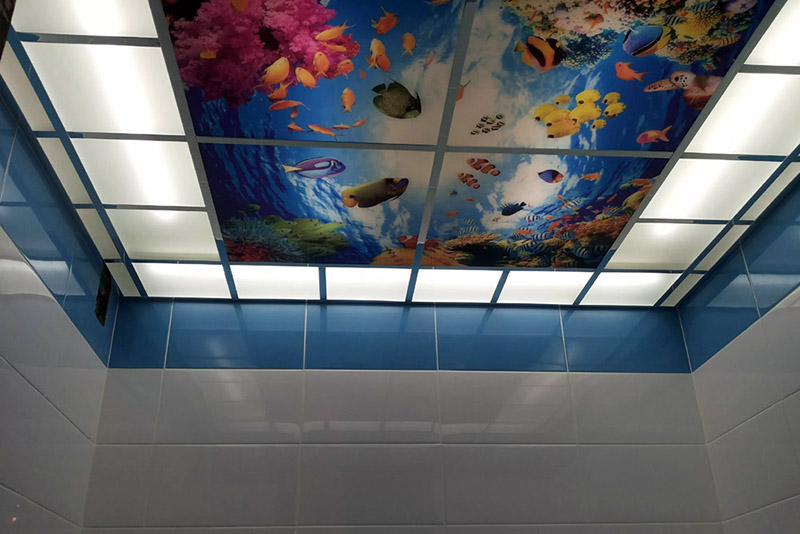طراحی و نصب سقف شیشه‌ای کاذب در سرویس بهداشتی و حمام